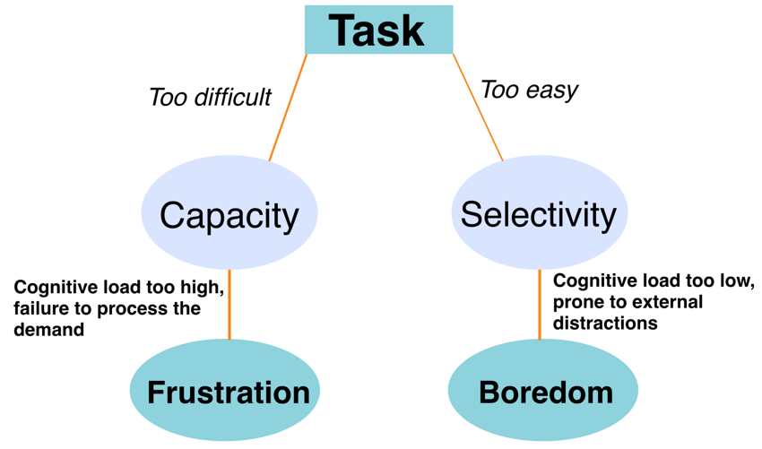 Capacity versus Selectivity flowchart